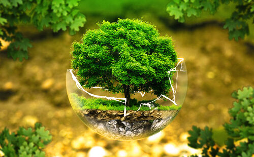 conservacion-naturaleza conservacion-naturaleza